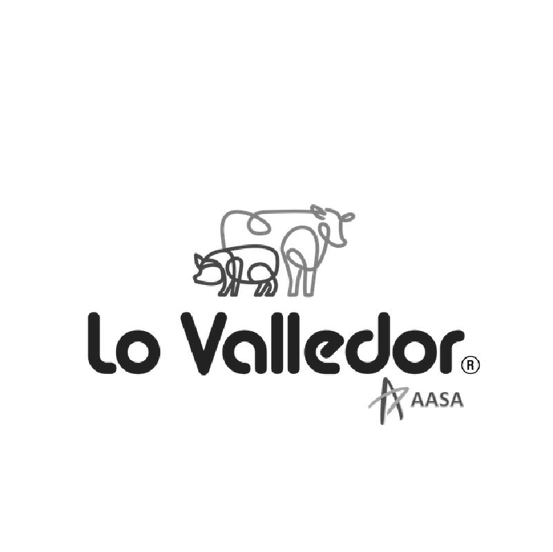 Imagen inicial