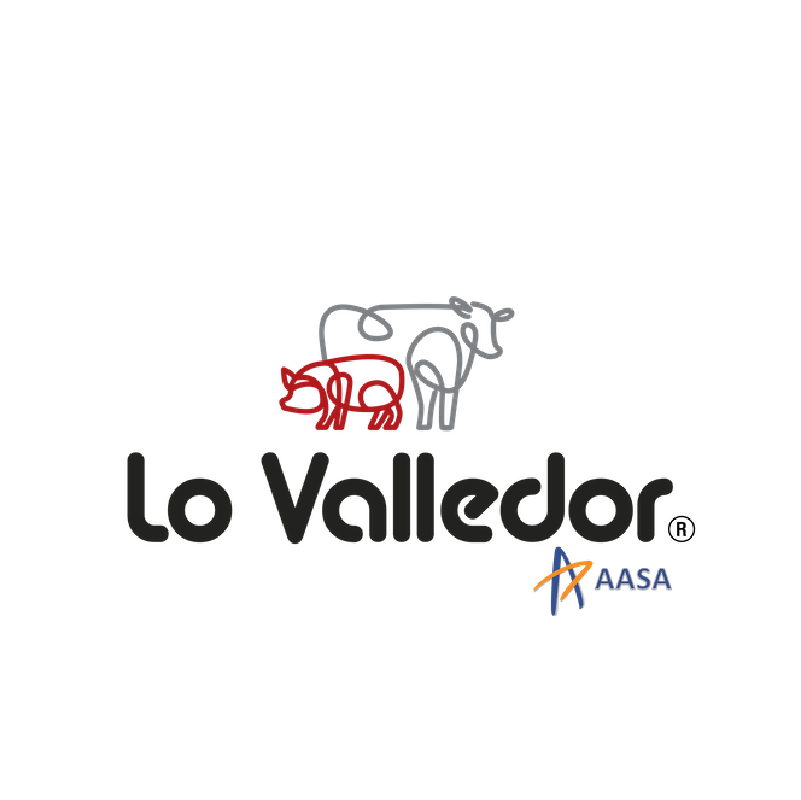Imagen en hover